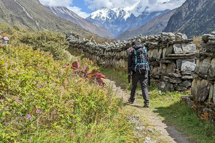 Trekkers on a mountain trail