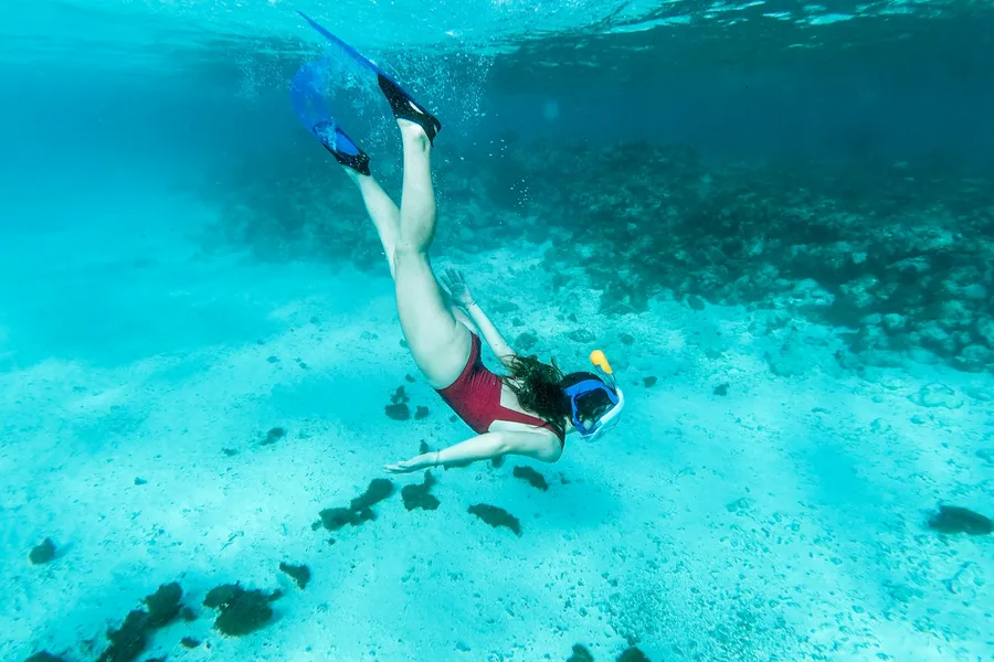Illustration for Snorkeling as the Zero-Commitment Alternative